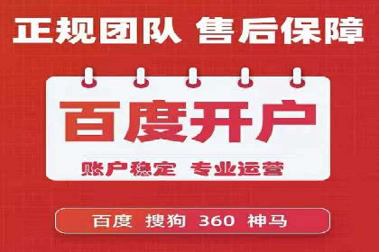 成功运用SEM服务实现品牌快速成长的案例